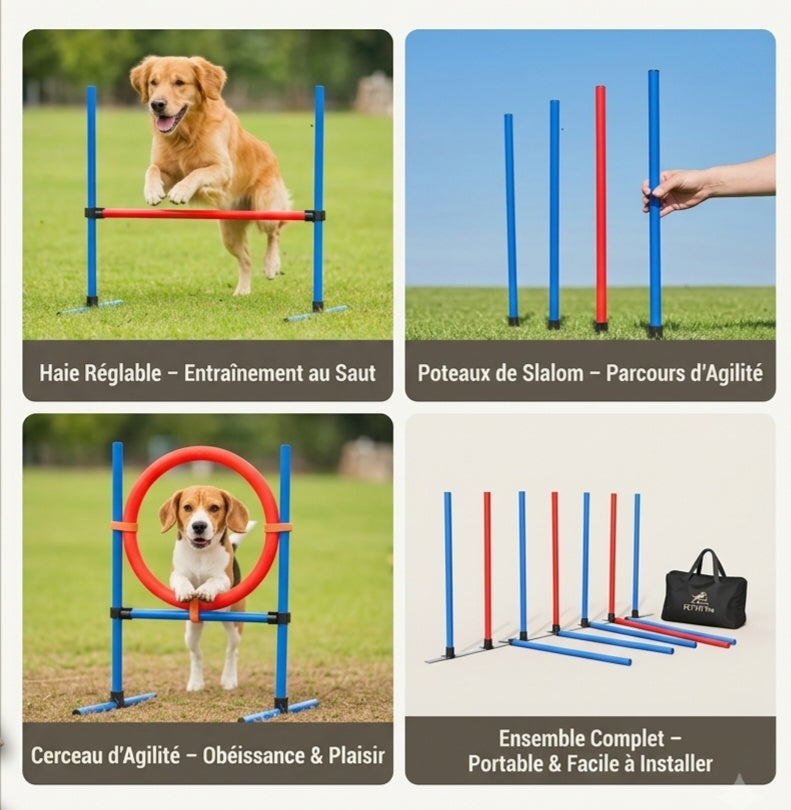 Cerceau d'entraînement pour chien en extérieur