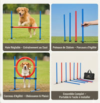 Cerceau d'entraînement pour chien en extérieur