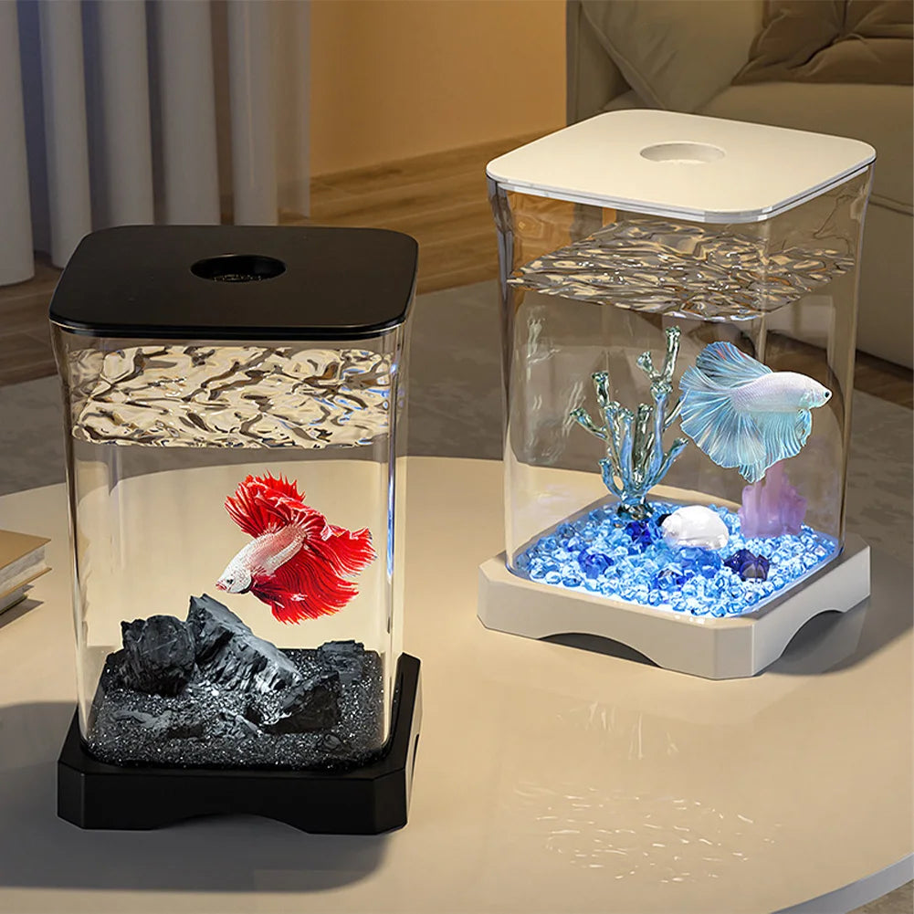 Kit aquarium débutant pour betta, vue d'ensemble