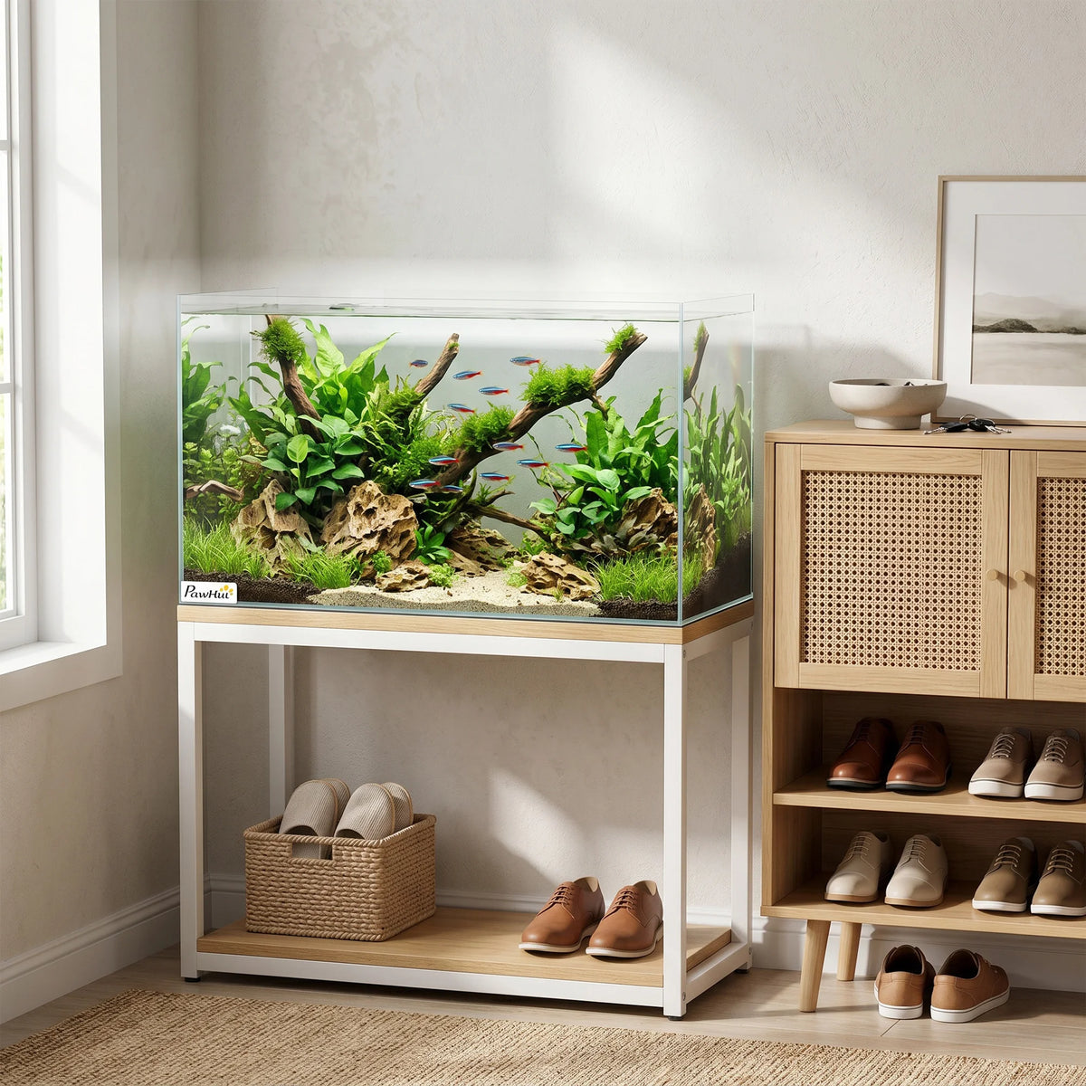 Aquarium en verre sans cadre vue de face