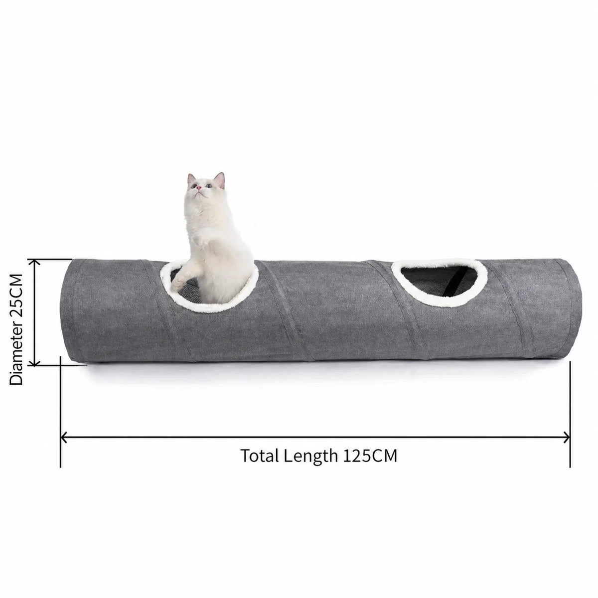 Chat explorant le tunnel de jeu