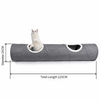 Chat explorant le tunnel de jeu