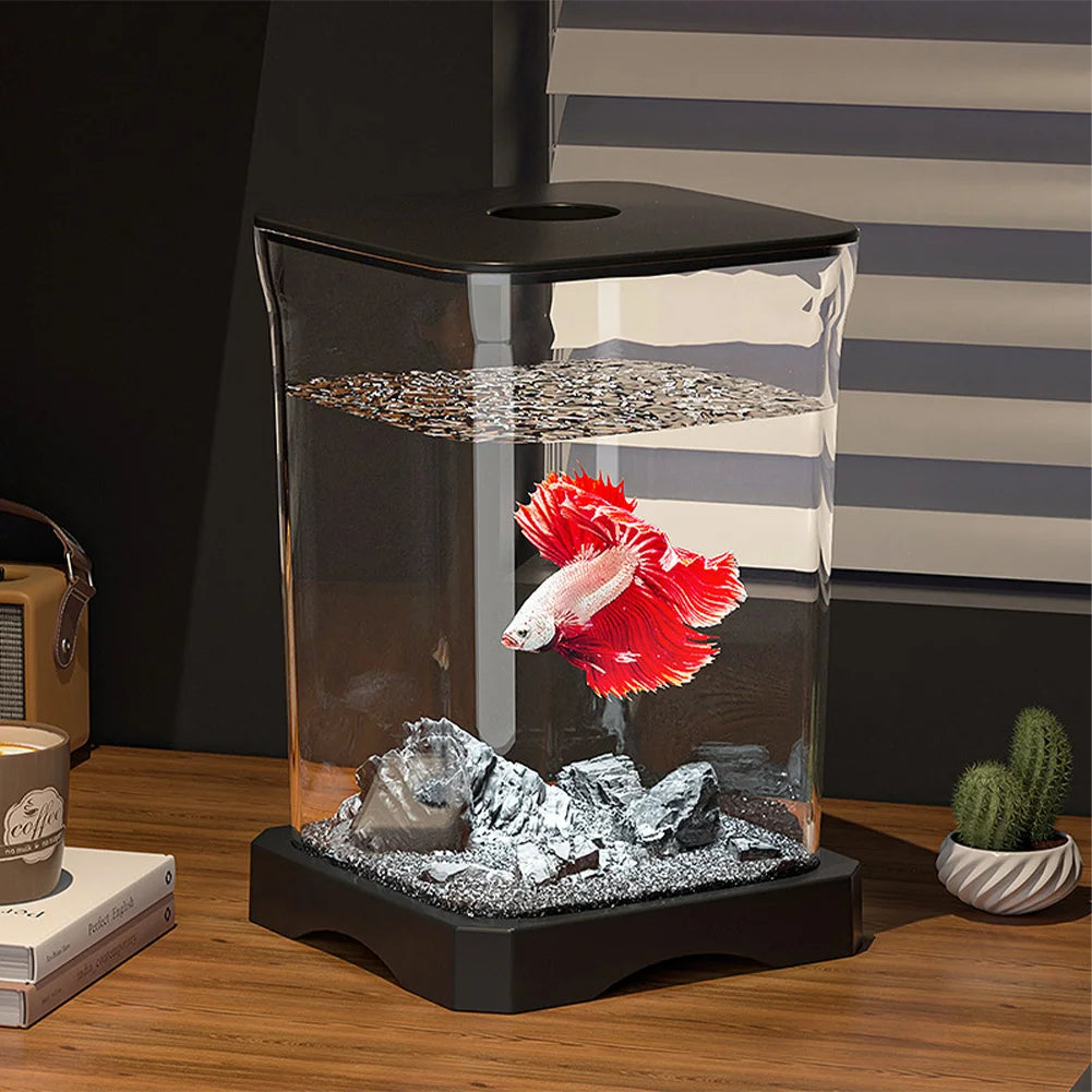 Détail de l'ouverture de nourrissage du kit aquarium