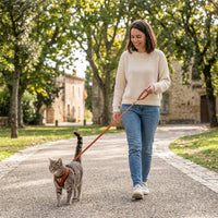 Harnais réfléchissant et en maille respirante pour chien et chat - Promenades sûres et confortables