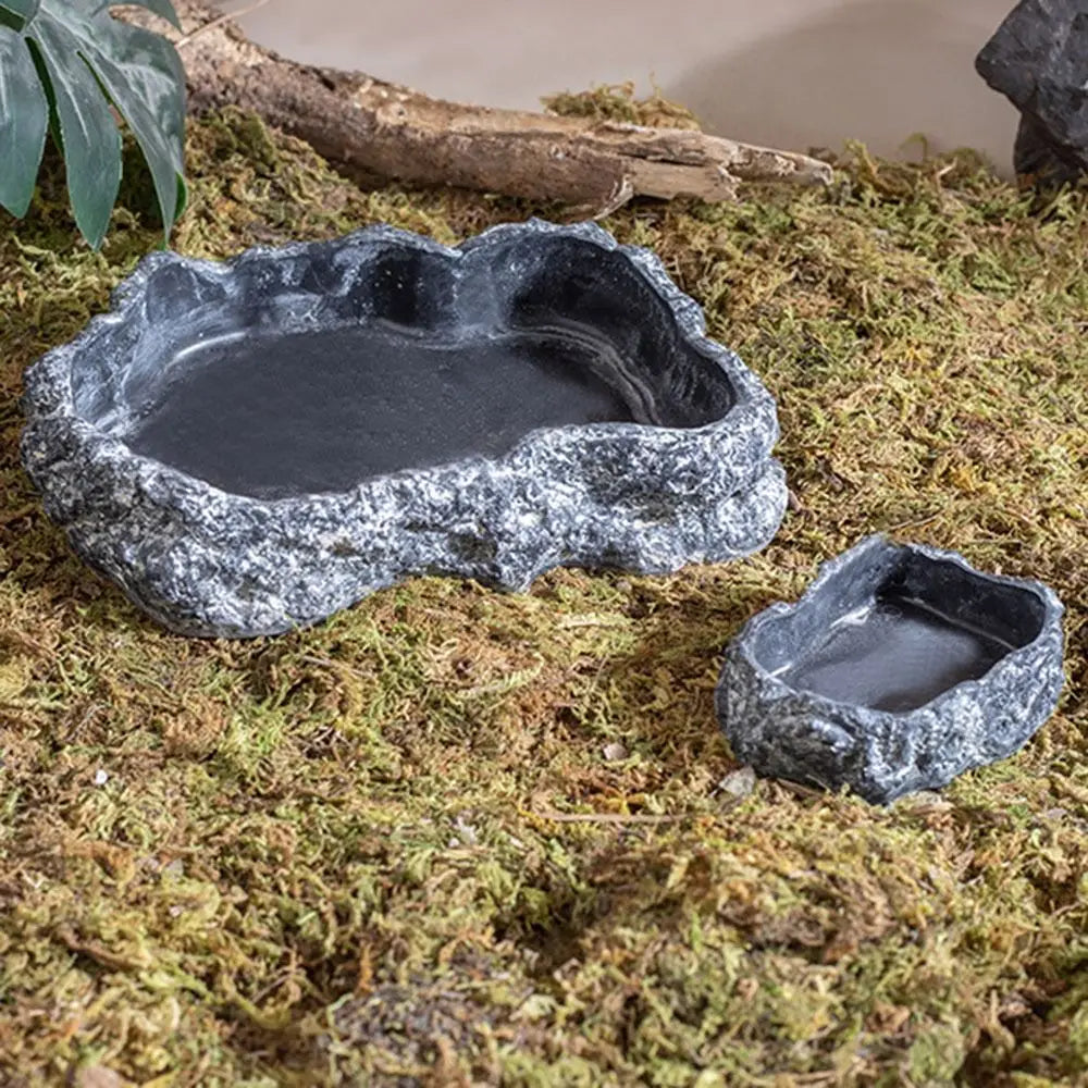 Gamelle effet pierre installée en terrarium