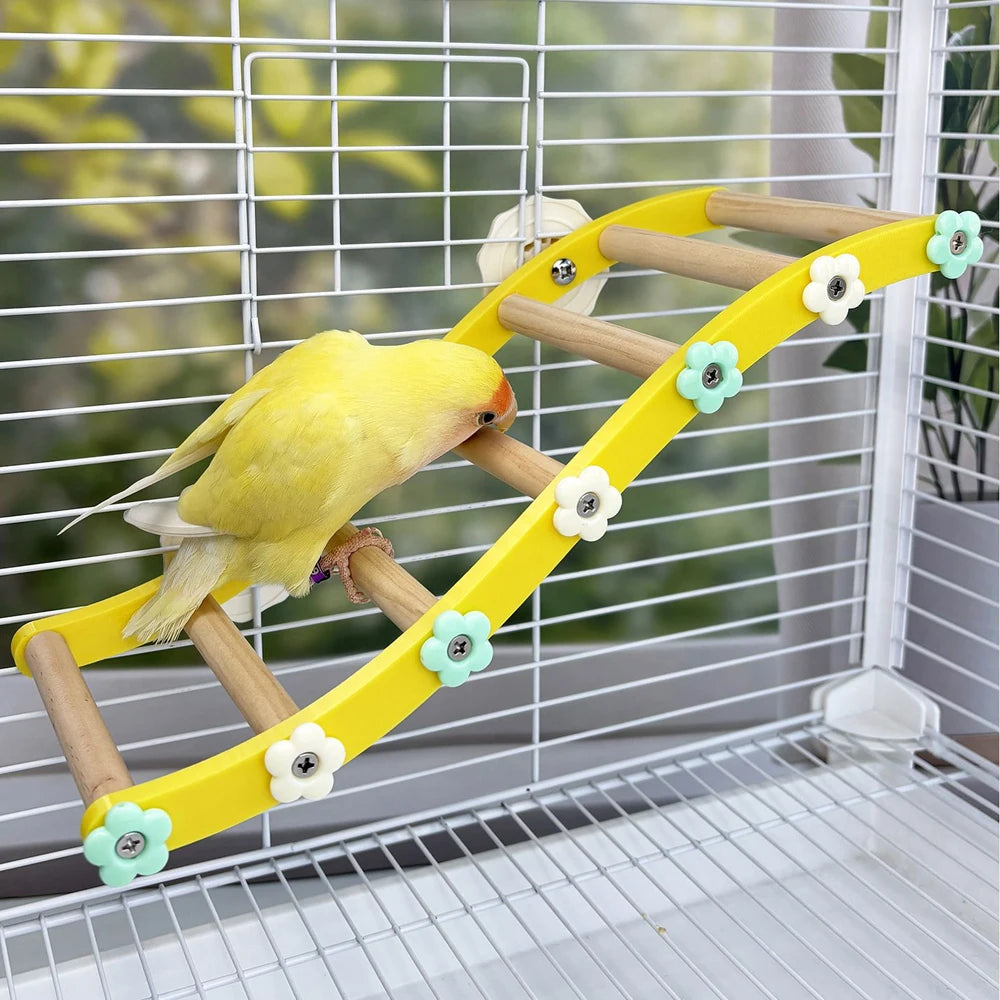 Pont fleuri pour oiseau - vue d'ensemble