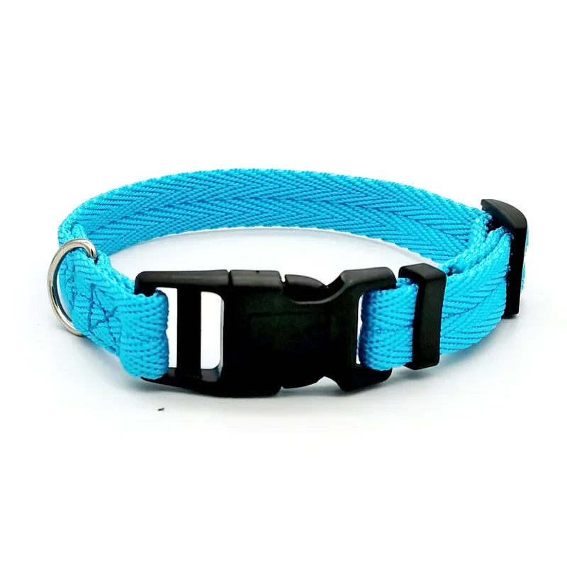 Collier coloris bleu