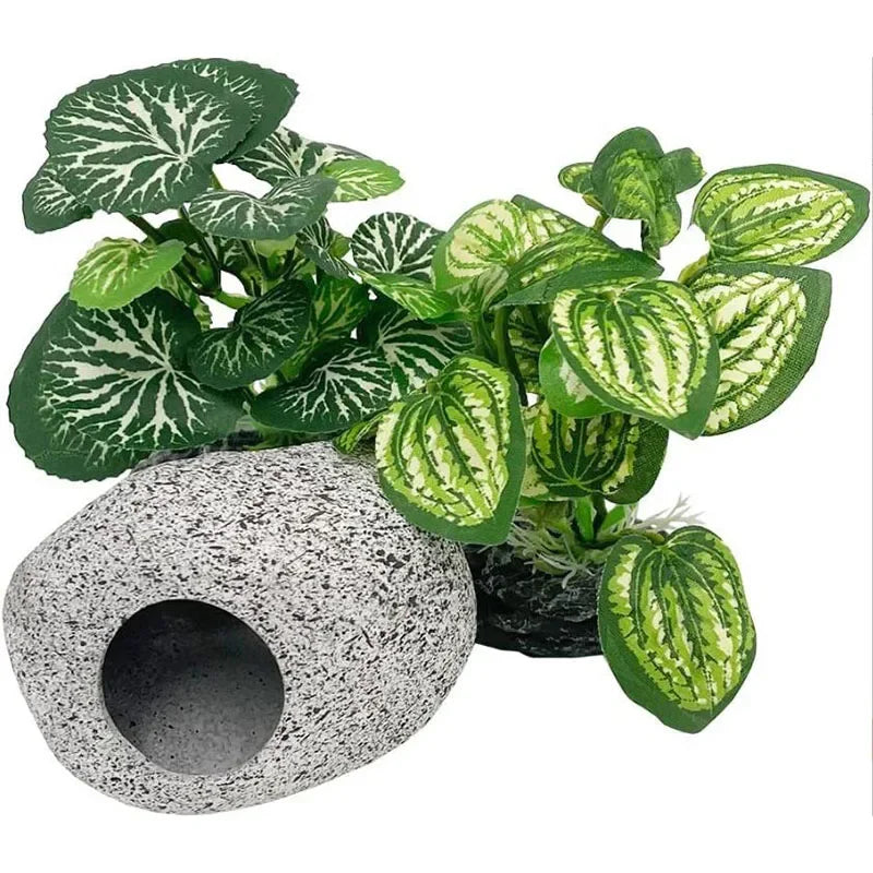 Herbes aquatiques pour aquarium - vue de profil