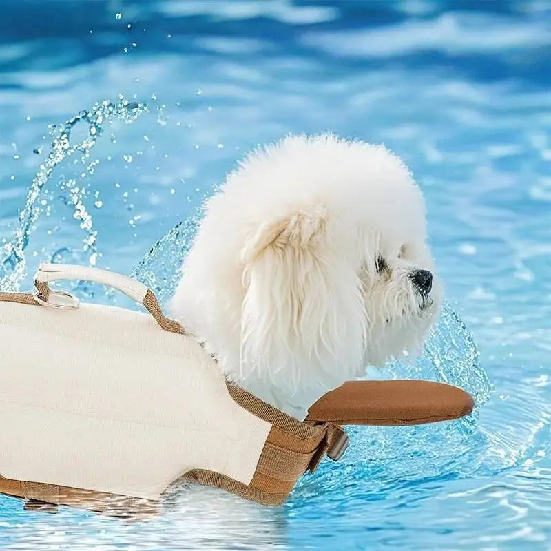 Chien nageant avec son gilet de flottaison