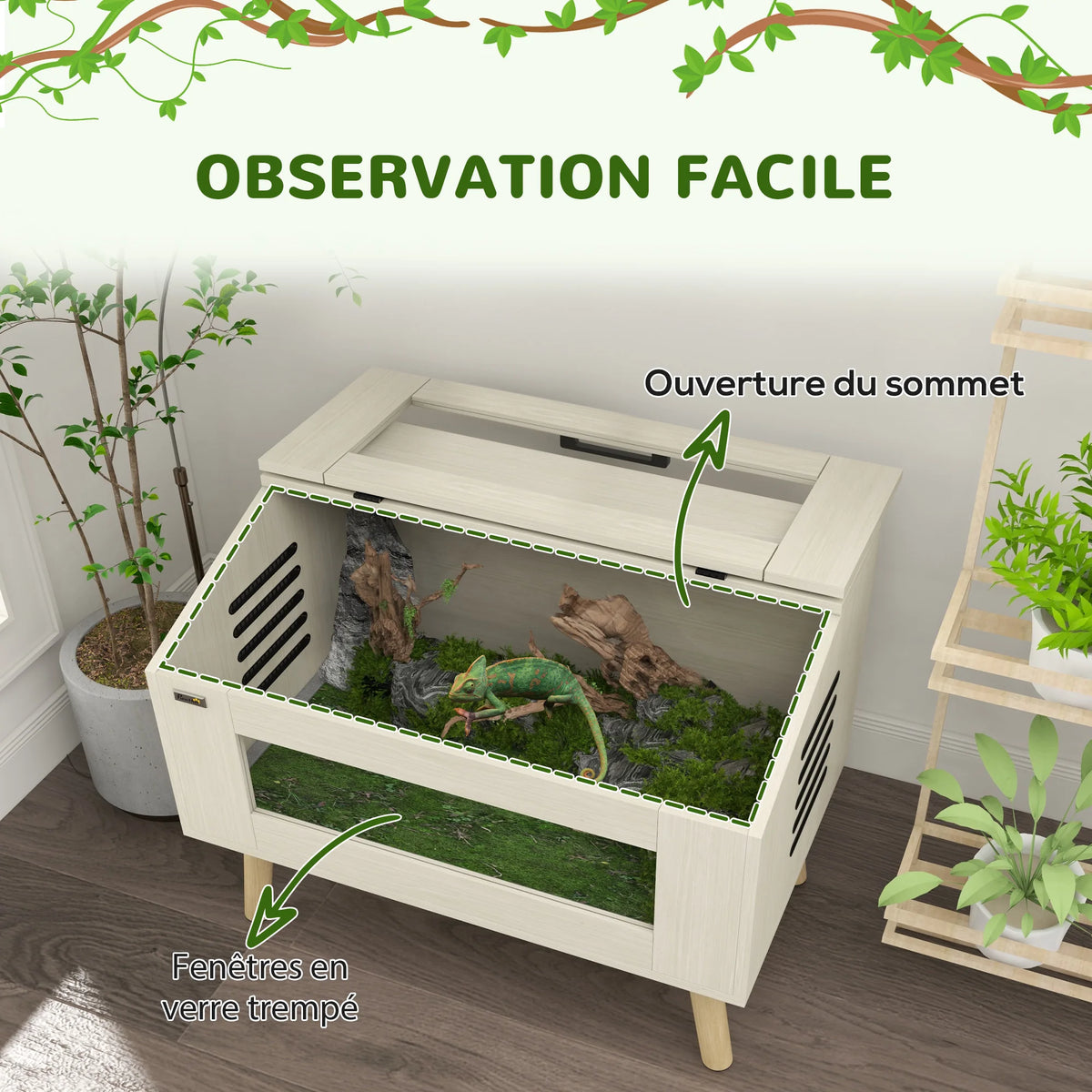 Terrarium en verre aménagé pour reptile