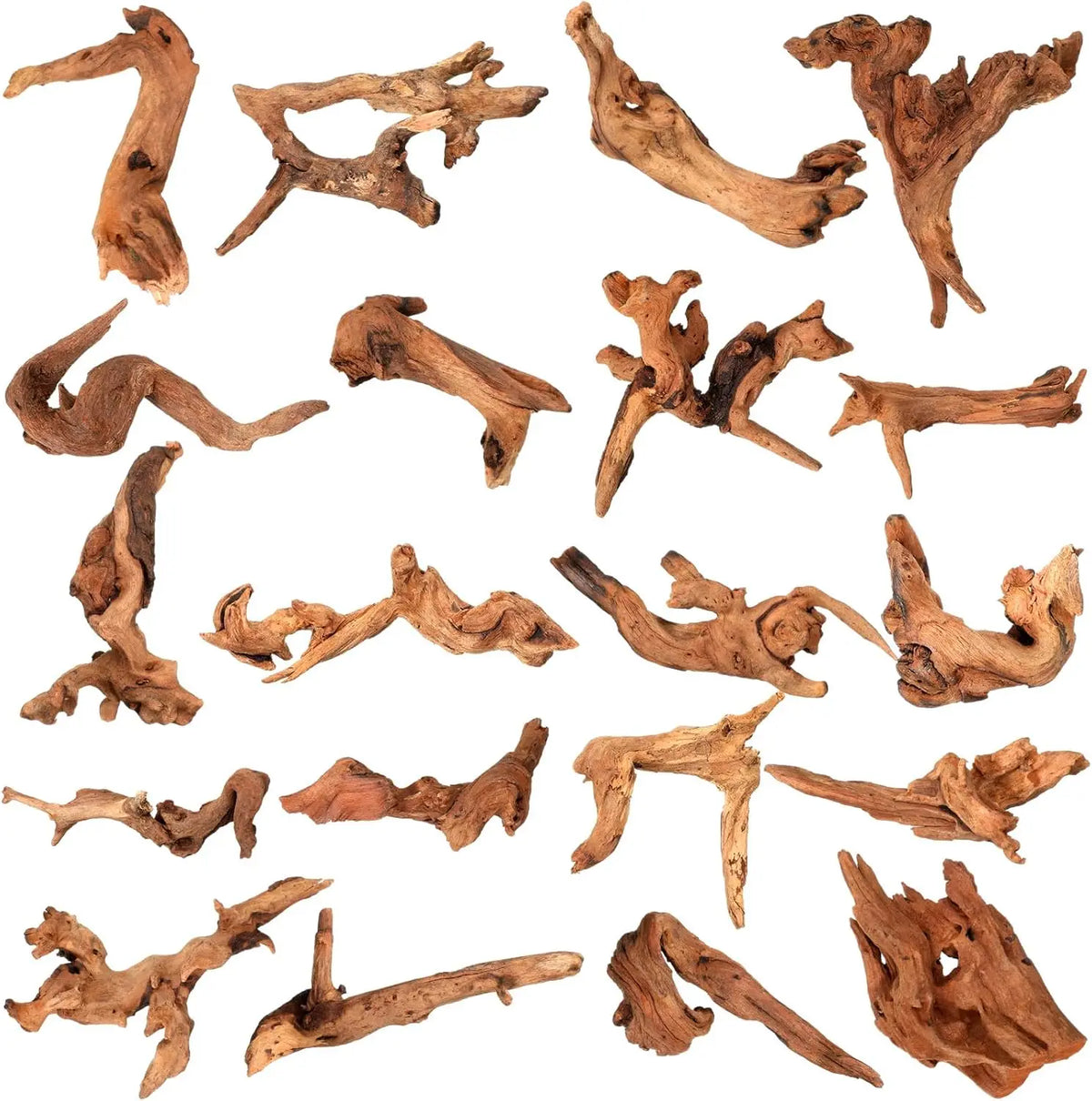 Bois flotté naturel pour aquarium et terrarium