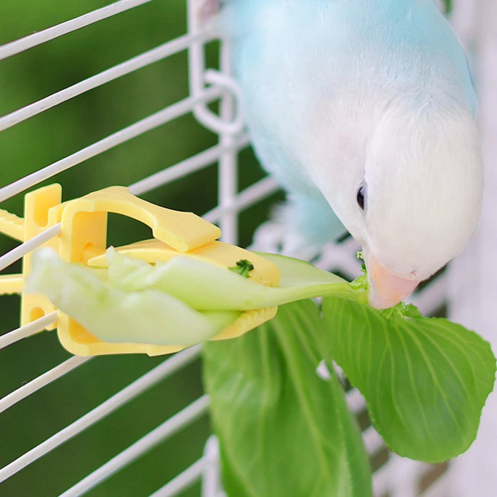 Pince porte-fruits pour canari - vue de côté