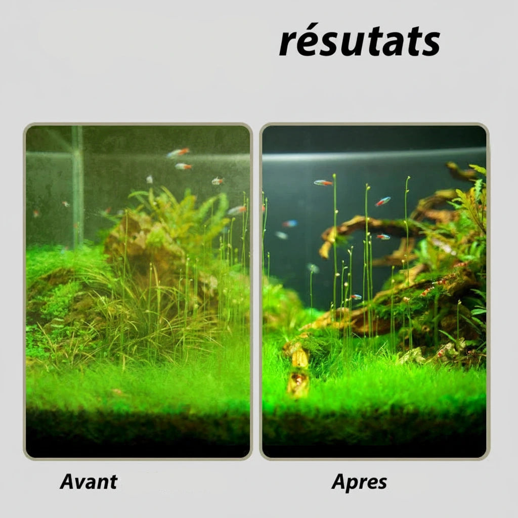 Détail de l'éponge de la brosse de nettoyage aquarium