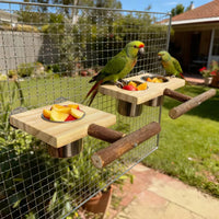 Support en bois pour oiseau - petit format