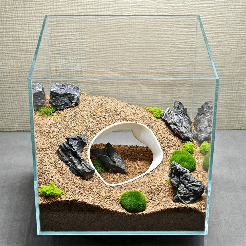 Poisson près de la grotte imprimée 3D en aquarium