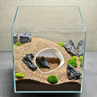 Poisson près de la grotte imprimée 3D en aquarium