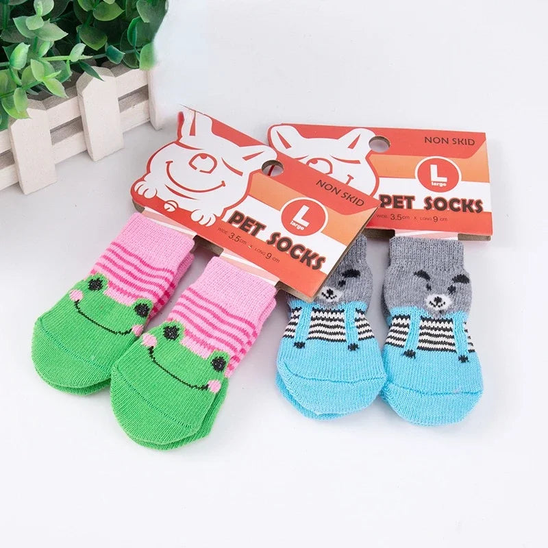 Chaussons portés par un chien