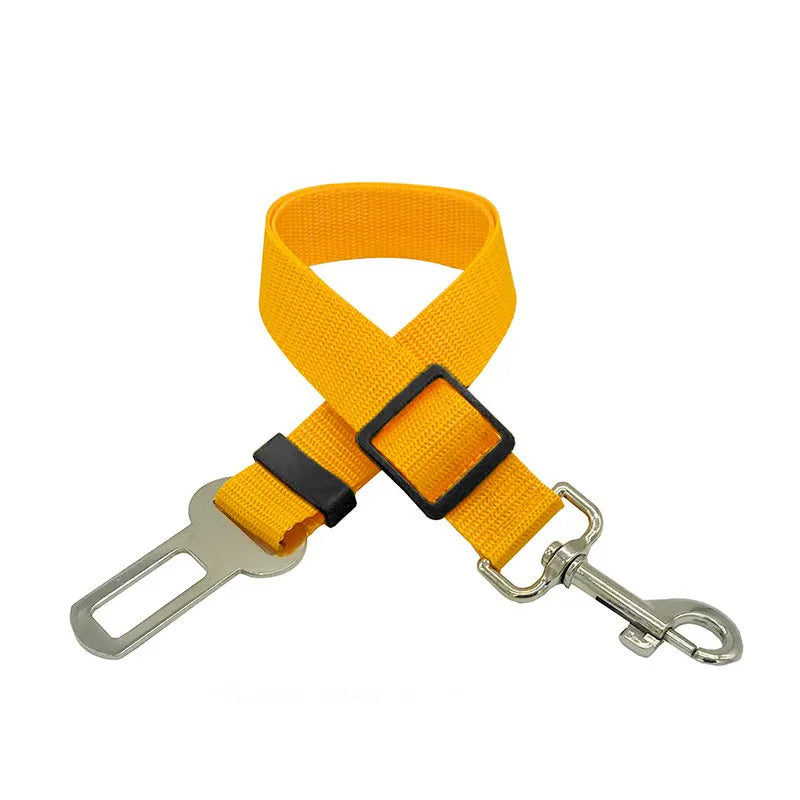 Harnais ceinture de sécurité voiture pour chien – présentation des coloris disponibles