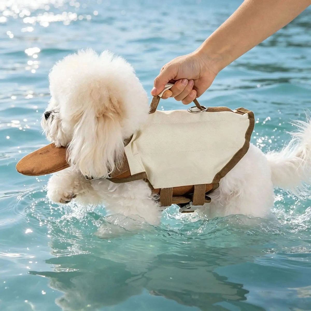 Poignée de portage du gilet de flottaison pour chien