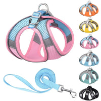 Harnais ajustable pour chien et chat – vue d'ensemble du harnais