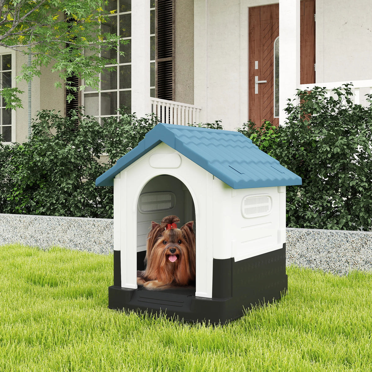 Chien devant sa niche extérieure