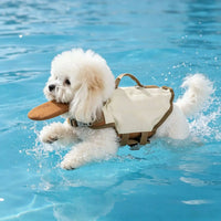 Chien portant son gilet de flottaison près de l'eau