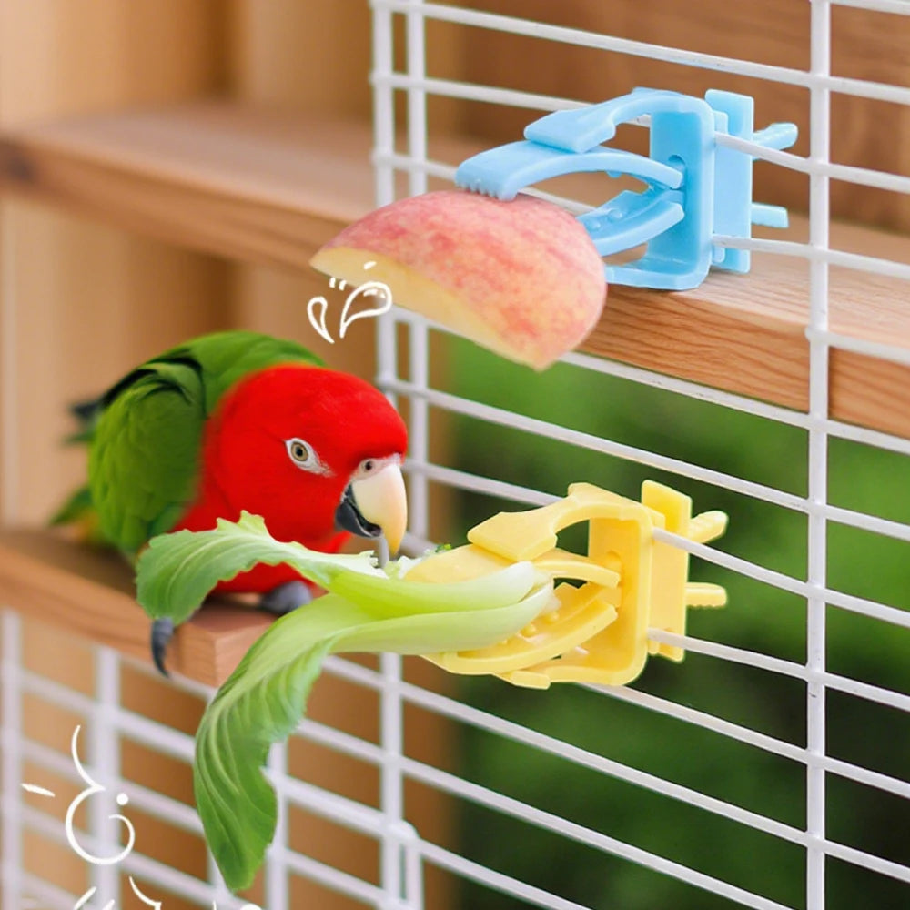Pince porte-fruits pour oiseau - vue d'ensemble