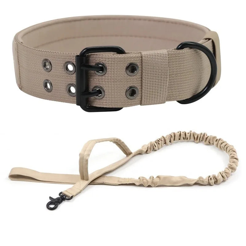Laisse ajustable pour chien en situation, vue 1