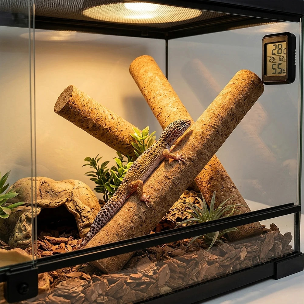 Branche de liège flexible pour terrarium
