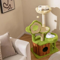 Cocon de l'arbre à chat multi-niveaux