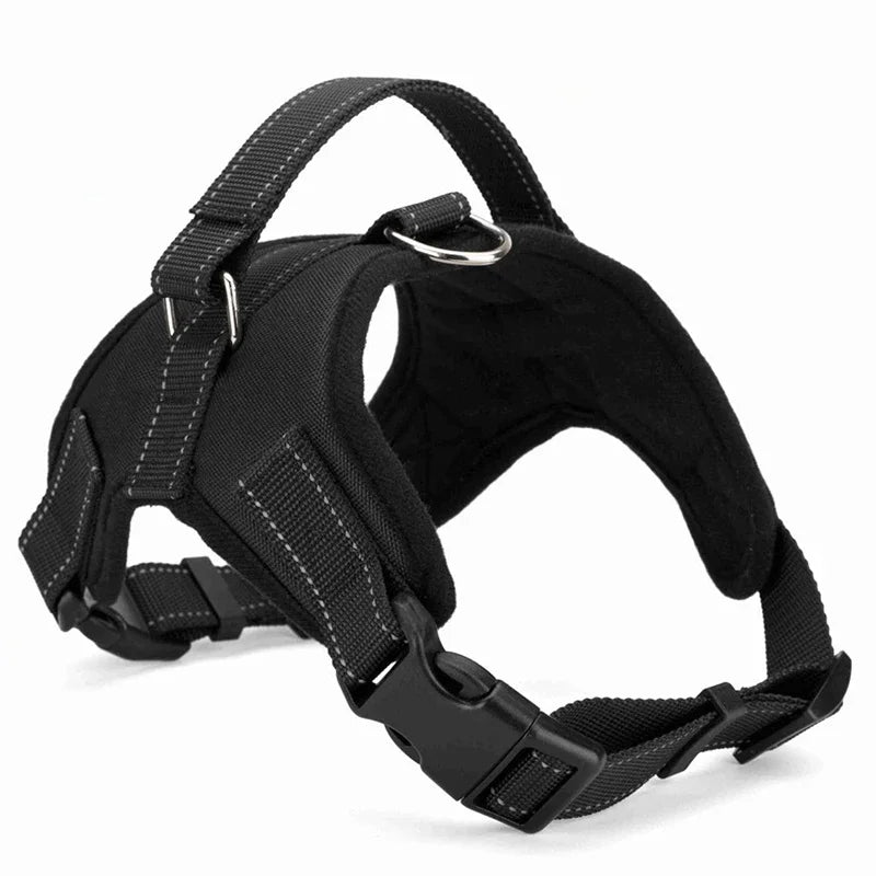 Boucle à attache rapide du harnais