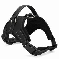 Boucle à attache rapide du harnais