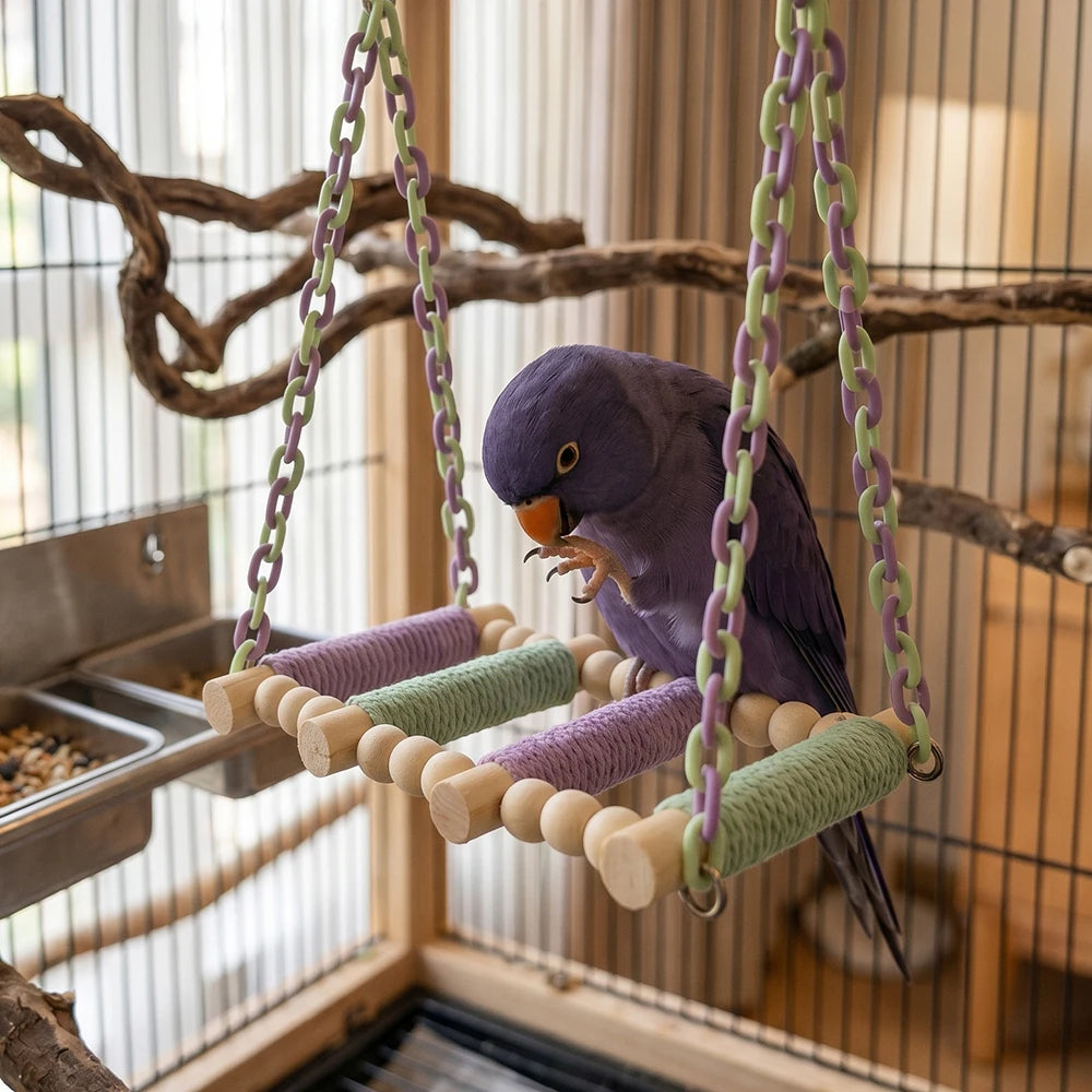 Perruche posée sur une balançoire en bois et corde