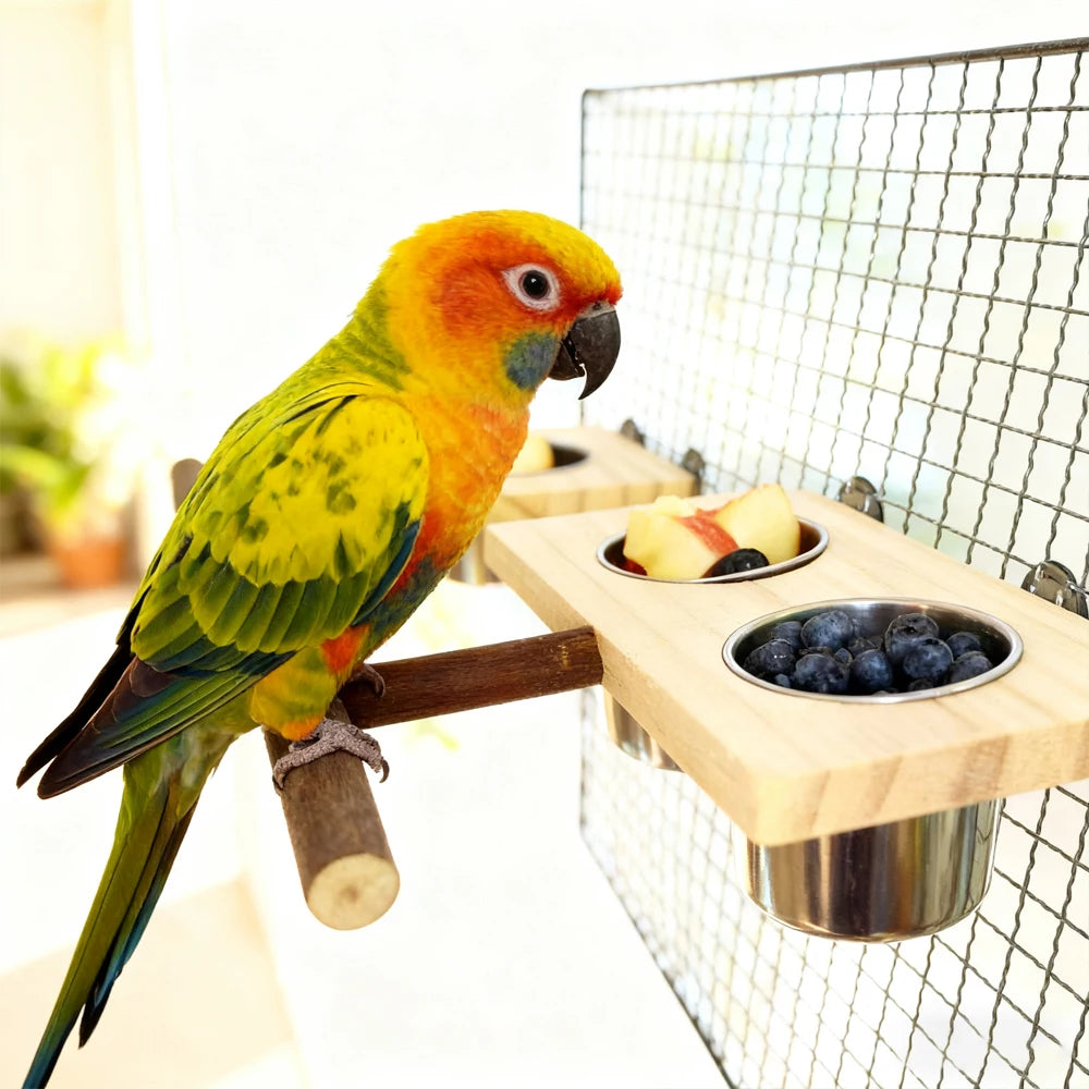Support en bois installé dans une cage à oiseau