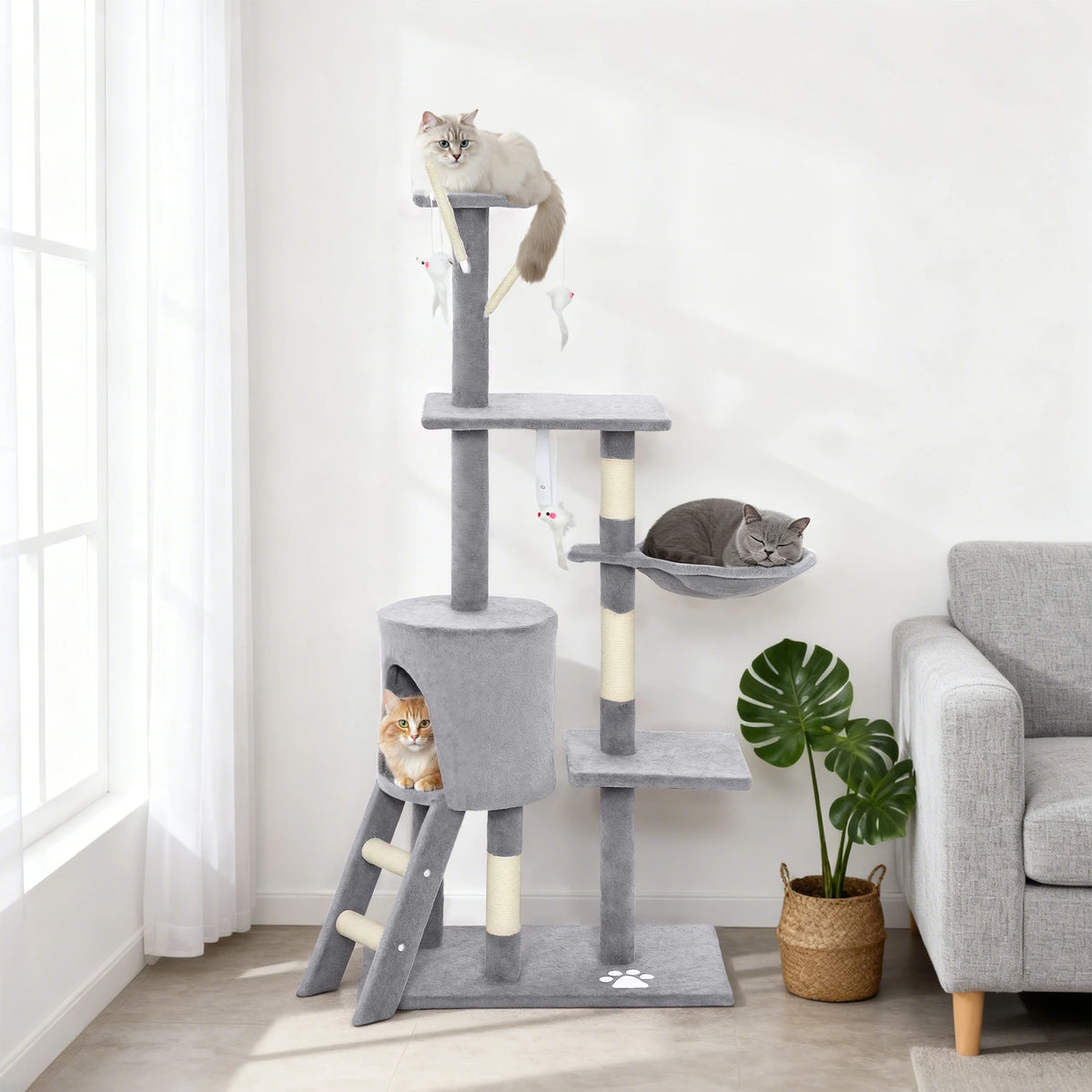 Tour de jeu arbre à chat, vue d'ensemble