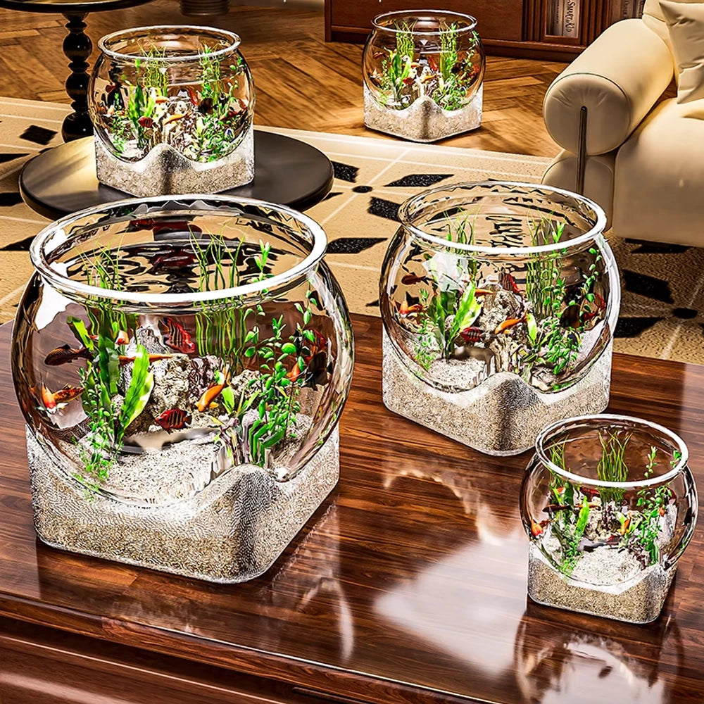 Aquarium rond installé avec de l'eau