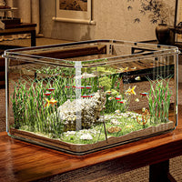 Aquarium de bureau transparent installé sur un meuble