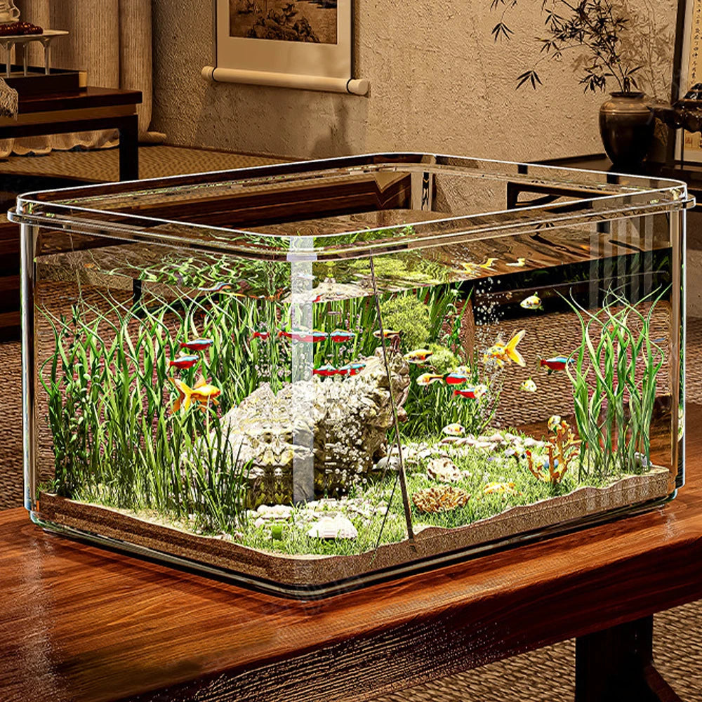 Aquarium de bureau transparent installé sur un meuble