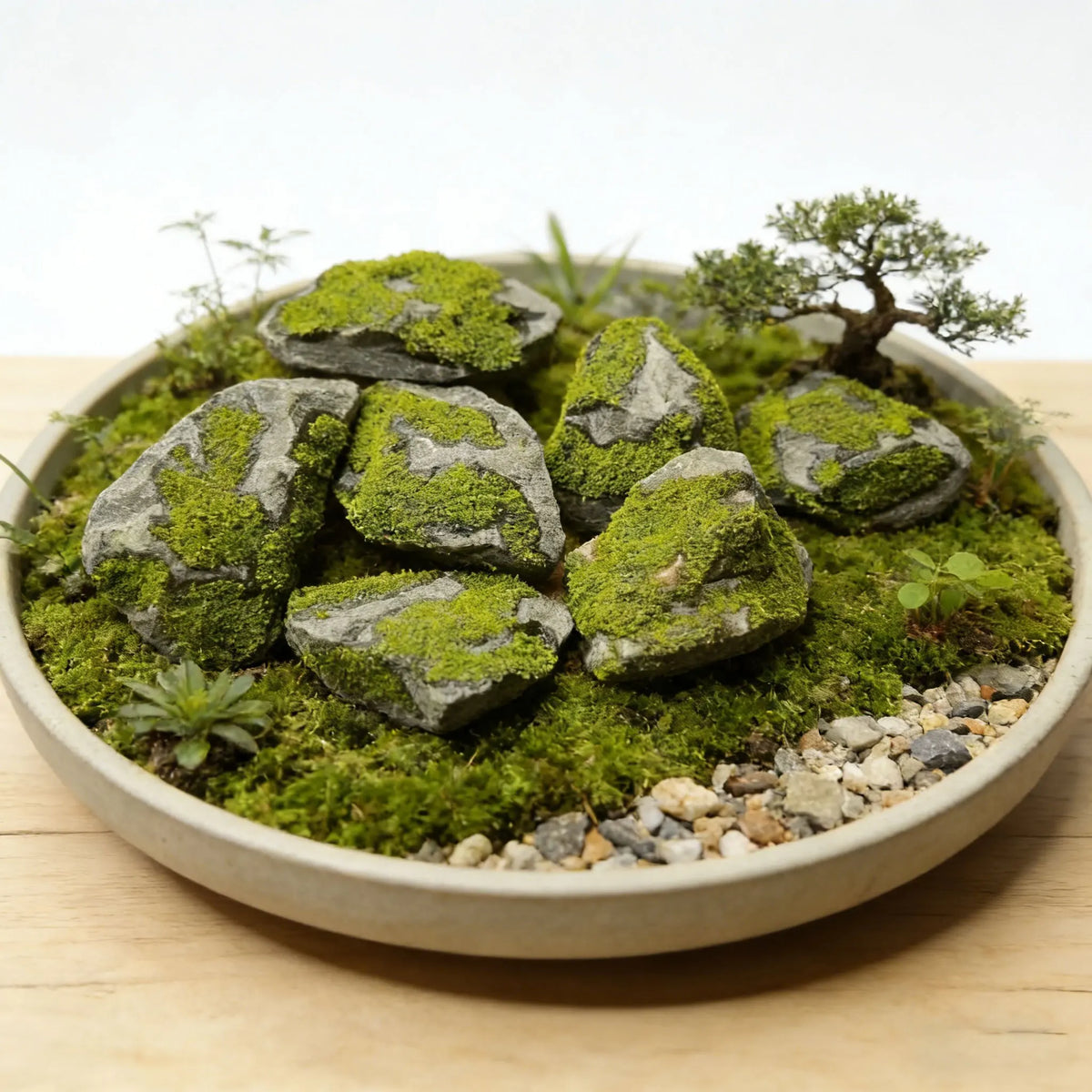 Ornement effet mousse installé en terrarium