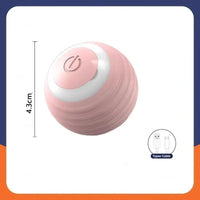 Jouet automatique rechargeable pour chat en situation, vue 1