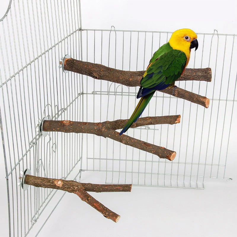 Lot de perchoirs en bois pour cage à oiseaux