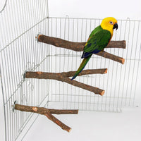Lot de perchoirs en bois pour cage à oiseaux