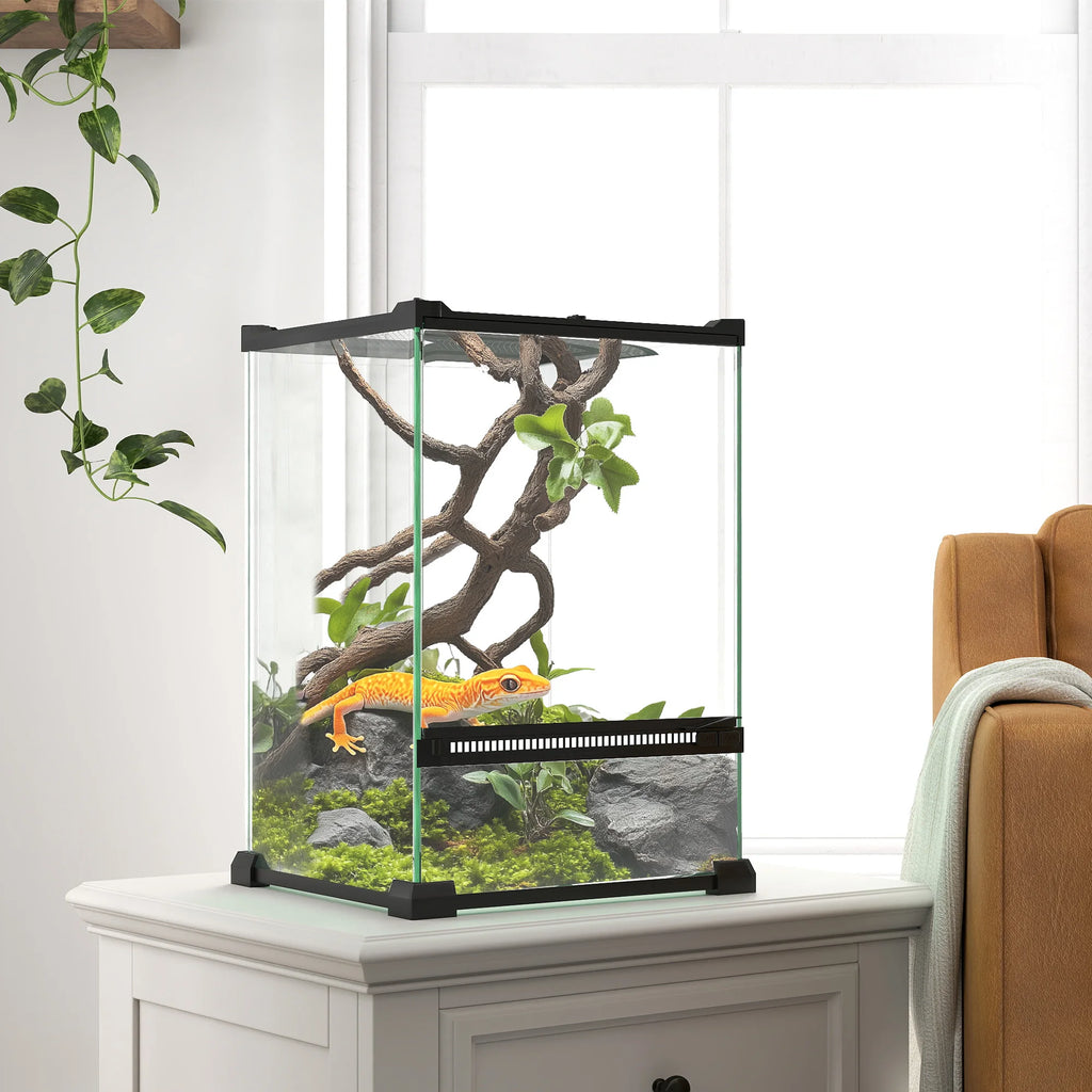 Terrarium en verre pour reptiles - vue de côté