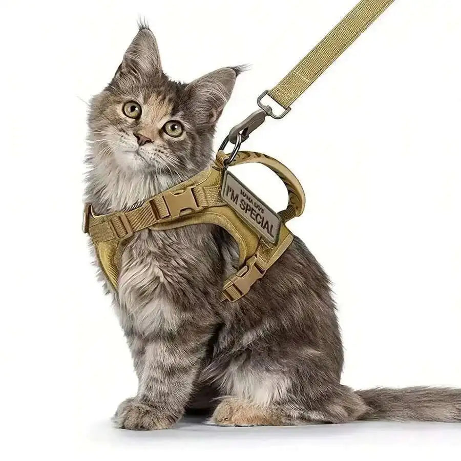Harnais en maille respirante ajustable pour chien et chat en situation, vue 4