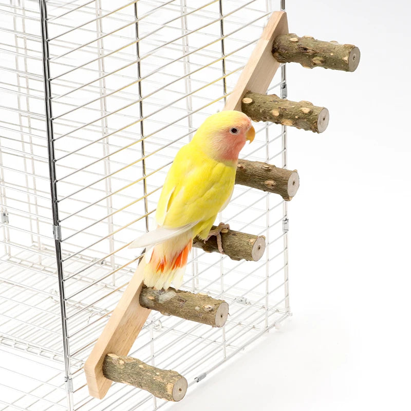 Échelle en bois pour oiseau et hamster - vue d'ensemble