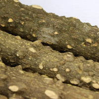 Détail des barreaux en bois de l'échelle grimpante