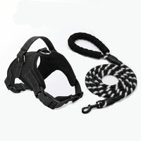 Ensemble harnais et laisse pour chien