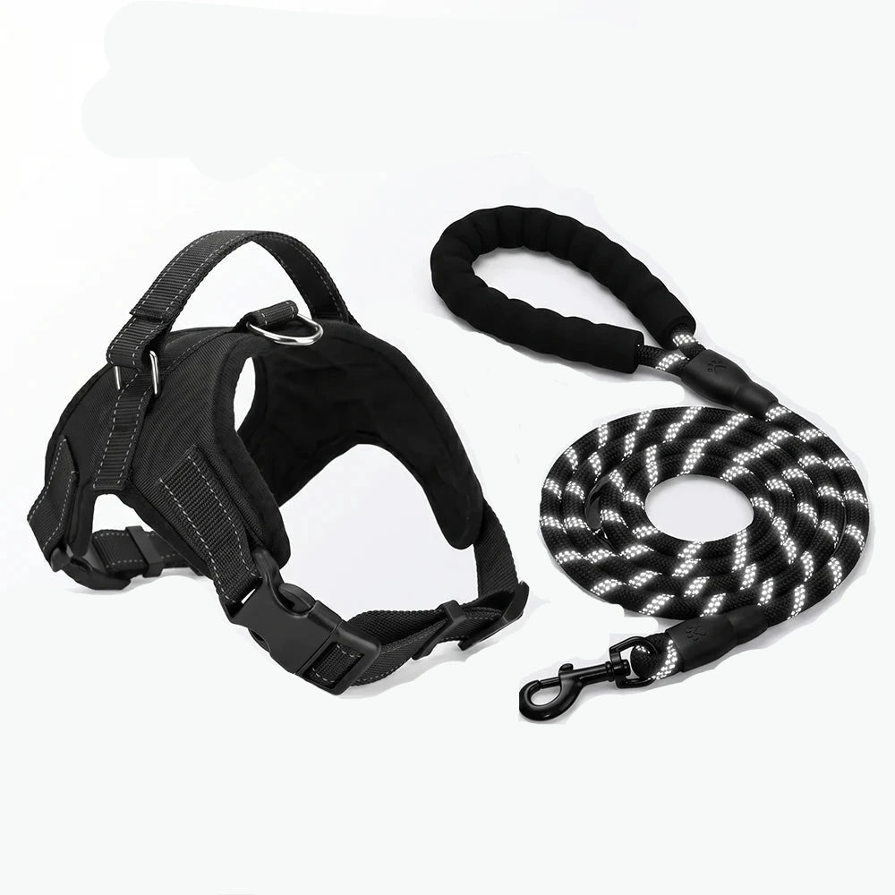 Ensemble harnais et laisse pour chien