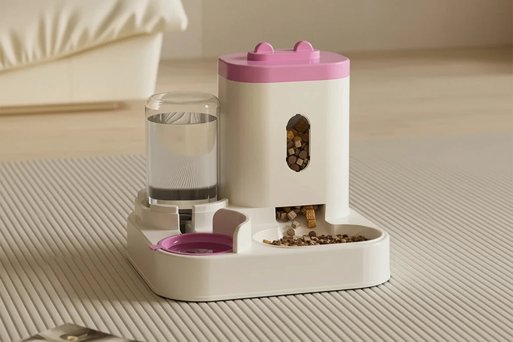 Petit chien utilisant la gamelle 2-en-1