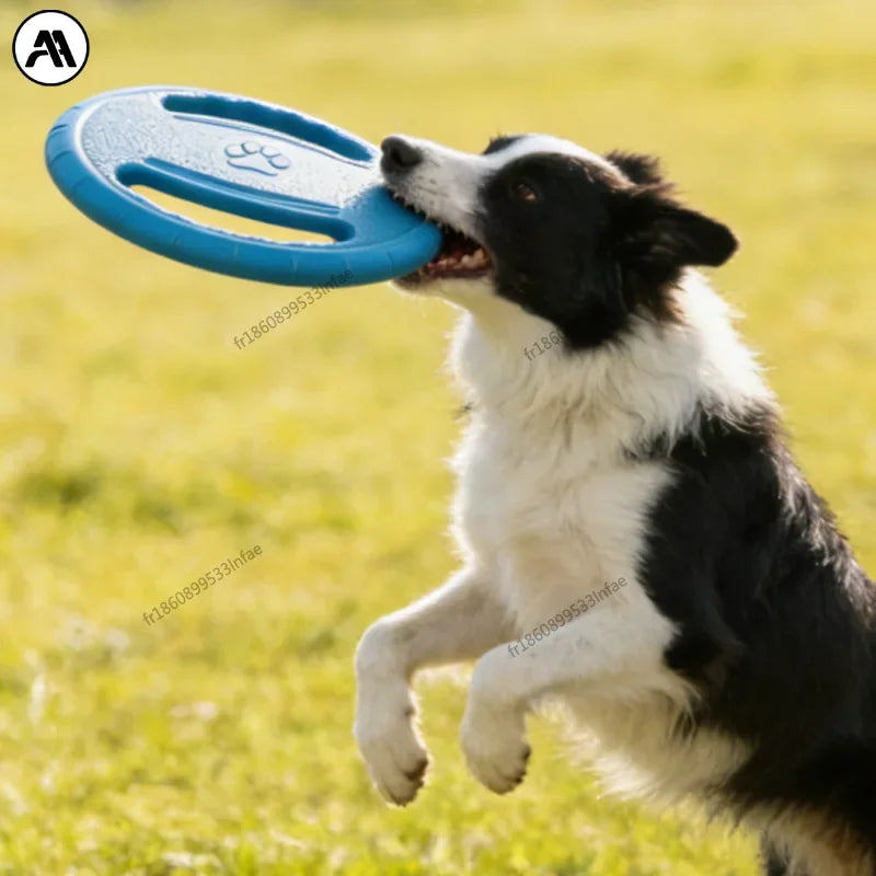 Frisbee indestructible pour chien - vue d'ensemble